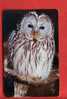 Japan Japon  Telefonkarte Télécarte Phonecard Telefoonkaart  -  Eule Owl Hibou - - Gufi E Civette