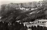 25 MOUTHE Les Tarins Et Les Rochers Du Mont D'Or - Mouthe