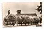 SAINT MAMMES Dpt 77 Place Renau Bernard Eglise Et Mairie CPSM 9x14 - Saint Mammes