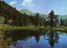 Vista, Valle De Estos, Benasque ( Huesca), Postal, Post Card - Huesca