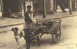 CPA. REPRO.  MARCHAND DE PRIMEURS. ATTELAGES DE CHIENS. BRIARE. - Shopkeepers