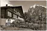 CH - BE - Grindelwald - Bauernhaus Mit Wetterhorn - HMAK / CPSM Ed. Gyger & Klopfenstein 19238 [chalet] - Grindelwald