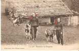 CHAMPERY .  Paysannes De Champéry - Champéry