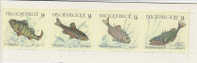 Belgium-1990 Fish Booklet - Unclassified