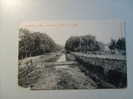 Osterode A. Harz..-- Soese-Anlagen M. Blick Auf Die Burgruine.  (23 - 2 - 1905) - Osterode