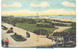 Marine Gardens, (Great) Yarmouth, People, Driver W. Horse And Carriage, Great Card Ca 1910 - Great Yarmouth