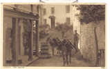 Clovelly, The Square, Donkeys, ânes Publ. Photochrom Ca 1910 - Clovelly