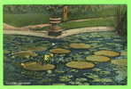 CASTLETON, VT. - LILY POND - PHOTO BY E. WELLS ELLIOTT - - Other & Unclassified