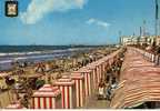 Vista , Playa De La Victoria  Cadiz, Postal, Post Card - Cádiz