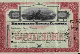 HOMESTAKE MINING COMPANY - Mijnen