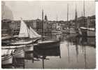 St-Tropez - Le Port (Bateaux De Pêche & Voilier) - Fishing Boats