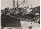 Saint Tropez - Le Port - Bateaux De Pêche - Fishing Boats