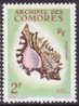 1962 / COMORES / Y&T N°21 NEUF* AVEC LEGERE TRACE DE CHARNIERE / COQUILLAGE - Altri & Non Classificati