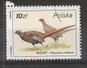 POLSKA / Pologne , Faisant / Bazant "Phasianus Colchicus"" , 10 Zl , 1986  ,obl B/TB - Gallinaceans & Pheasants