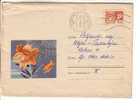 GOOD USSR Postal Cover 1969 - Lilium - Covers & Documents