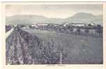 19082)cartolina Illustratoria  Lestans - Panorama - Pordenone