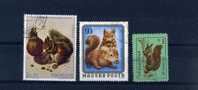 - ENSEMBLE DE TIMBRES SUR LES ECUREUILS  . PAYS DIVERS - Rongeurs