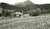 SUISSE- Ref 812- Les Pacots S Chatel St Denis - Chapelle Nd Des Neiges Et Le Moleson -carte Bon Etat - Chapelle