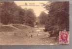 Bruxelles --- Bois De La Cambre --- Ravin Et Pont Rustique - Foreste, Parchi, Giardini