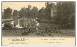 DILBEEK-MONT THABOR-LE LAC ET LA TOUR DE SAINTE ALENE-religieuses Dominicaines - Dilbeek