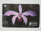 Orchids. Orchidées. Orquidea: Laelia Perrinii - Brasile