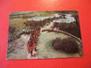 CPM OU CPSM -AFRIQUE-KENYA-MARA SERENA LODGE.MASAI WARRIOR'S DANCING COMPLEMENTS THE ROMANTIC ARCHITECTURE DERIVED FROM - Kenia