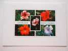 Antilles  - West Indies - Flowers - CPM  -  VF  D46853 - Otros & Sin Clasificación