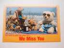 Antilles  - Virgin Islands - Teddy Bear   CPM  -  VF  D46868 - Amerikaanse Maagdeneilanden