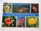 Antilles  - Vigin Islands -flowers    CPM  -  VF  D46876 - Amerikaanse Maagdeneilanden