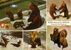 Suisse Schweiz Switzerland - Berne Bern - Bear Pit - Ours Bears - Neuve Unused - Bears