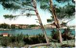 Delcampe - CP  - PHOTO - ISTRES - VUE GENERAL ET L'ETANG DE L'OLIVIER - 7941 - Istres