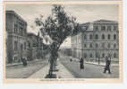 C616- CALTANISSETTA VIALE REGINA MARGHERITA -  F.G. - ITALY ITALIE ITALIEN - Caltanissetta