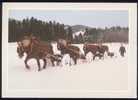 CPM  Animée  L´Hiver En Franche Comté, Le Débardage Du Bois - Franche-Comté