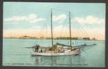 United States US E7105 Steeplechase Island Watch Boat "Active" Bridgeport Connecticut Old Perfect Mint Post Card - Bridgeport