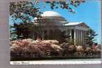 Jefferson Memorial - Washington, D.C. Cherry Trees In Bloom - Washington DC