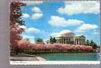 Jefferson Memorial - Washington, D.C. Cherry Trees In Bloom - Washington DC