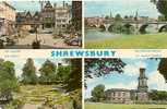 SHREWSBURY. - Shropshire