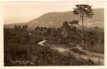 HURLESTONE POINT FROM WEBBERS POST. - Other & Unclassified