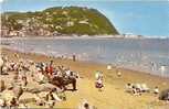 T2  .THE BEACH AND DONKEY STAND. MINEHEAD. - Minehead