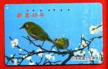 Japan Japon  Telefonkarte Télécarte Phonecard Telefoonkaart - Bird  Vogel  Oiseau - Sperlingsvögel & Singvögel