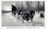 MISSIONS EXTREME NORD CANADIEN  LES CHIENS CHAUSSES SE METTENT EN ROUTE - Missions