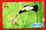 Japan Japon  Telefonkarte Télécarte Phonecard Telefoonkaart - Bird  Vogel  Oiseau - Uccelli Canterini Ed Arboricoli
