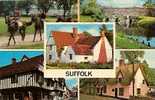 SUFFOLK - Altri & Non Classificati