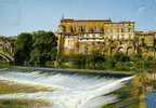 CP - PHOTO - GAILLAC - LA CHAUSSEE SUIRLE TARN ET L'EGLISE SAINT MICHEL - 1003 - Gaillac