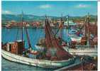 San Benedetto Del Tronto - Il Porto (1974) - Fishing Boats