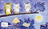 Owl HIBOU Chouette Uil Eule Buho Bird Oiseau (951) - Uilen