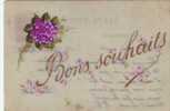 Mica  Bouquet De Violettes Peintes    Bons Souhaits - Other & Unclassified