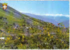 Carte Postale  73.  Courchevel   Trés Beau Plan - Courchevel