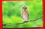 Japan Japon Prepaidkarte    -  Bird Vogel Oiseau  Eule Owl Hibou - Uilen