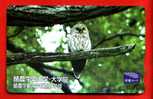 Japan Japon Prepaidkarte    -  Bird Vogel Oiseau  Eule Owl Hibou - Owls